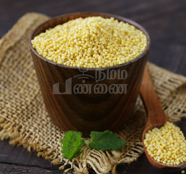 KUTHIRAI VALI RICE | குதிரைவாலி அரிசி